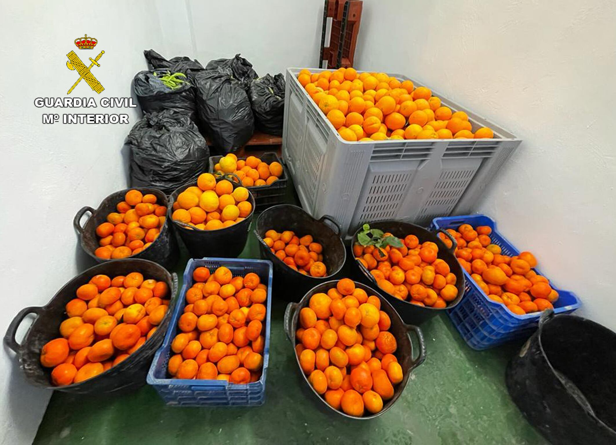 Díez personas detenidas por el robo de 7.000 kilos de frutas y hortalizas para venta ambulante