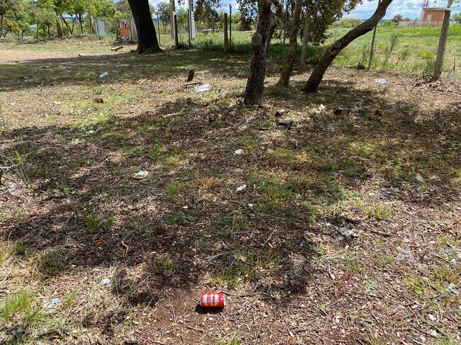 Aspecto que presenta el Monte el Viejo