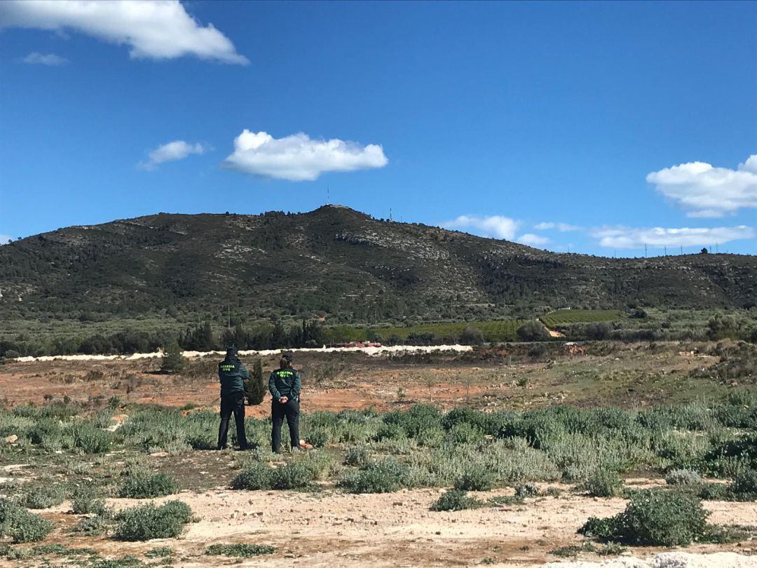 El cadáver de la joven ha aparecido enterrado con signos de violencia enterrado en un descampado de Ulldecona