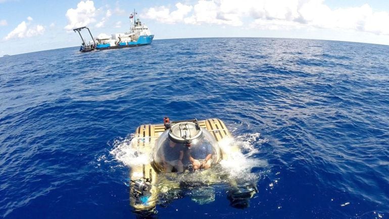 Un grupo internacional de científicos ha descubierto que una montaña submarina inexplorada, situada a 30 millas náuticas de Las Bermudas, alberga un rico bosque de algas y coral. 