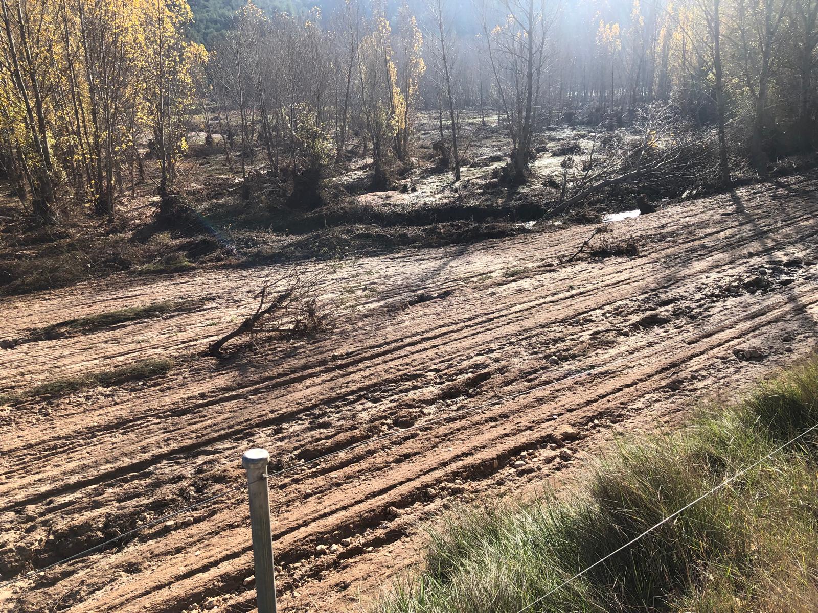 En esta parcela había almendros.