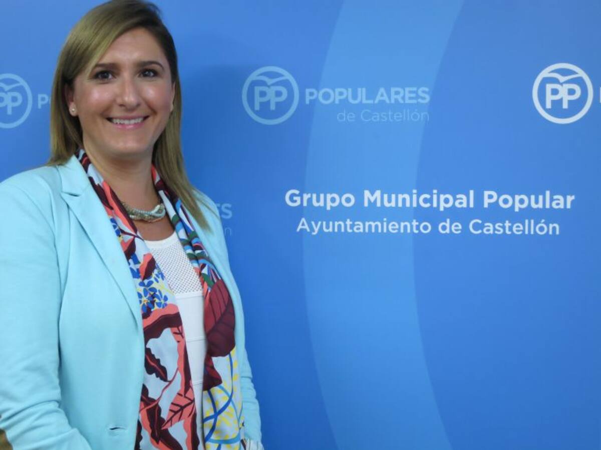 El PP de Castellón presentará alegaciones contra la ordenanza