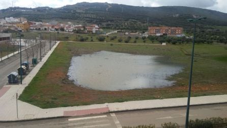 Charca en la zona de los PAUS de Puertollano