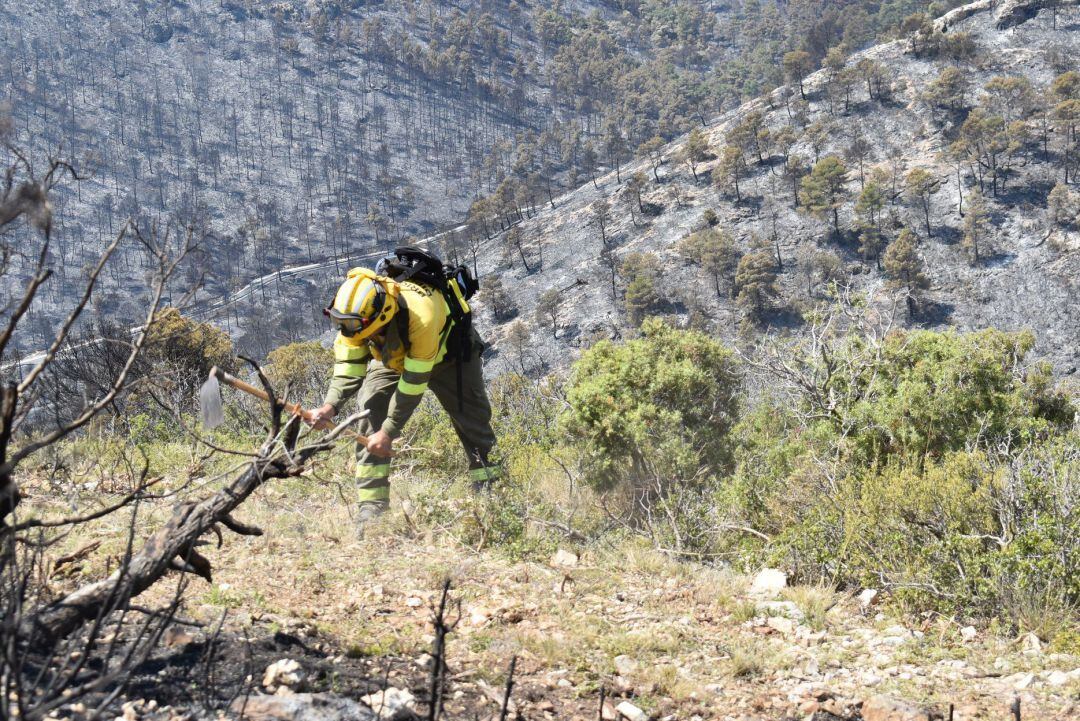 Un brigada trabaja en una zona quemada. 