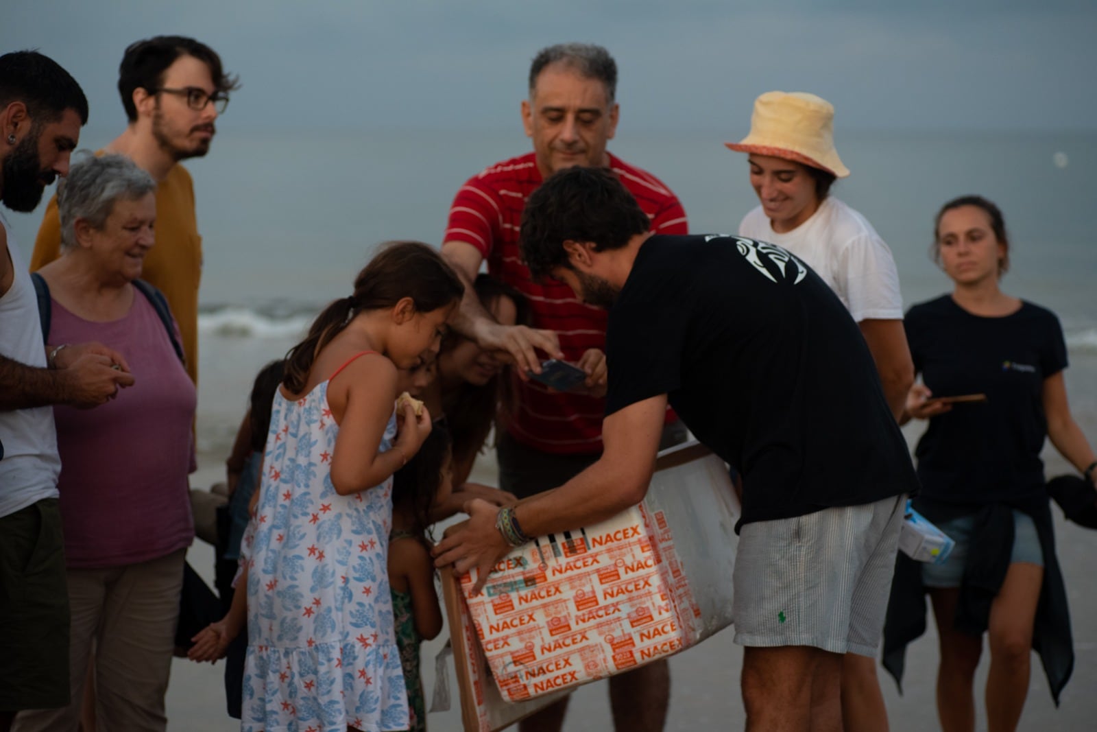 Suelta en el mar de las últimas tortugas bobas en la playa del Carabassí en los Arenales del Sol, Elche.