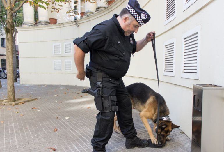 La unitat canina de Girona.