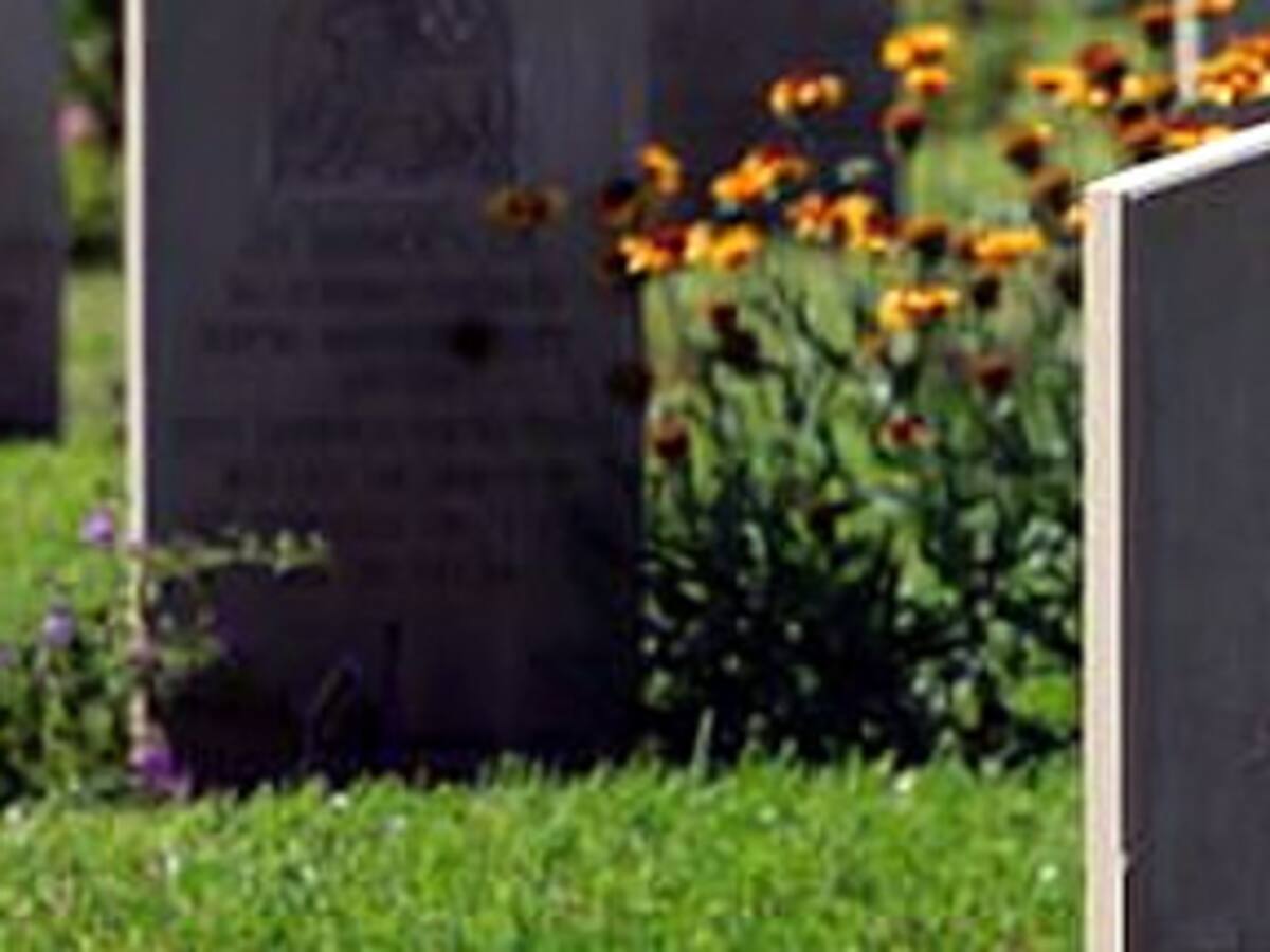 La tumba de Harry Potter se convierte en atracción turística en Israel