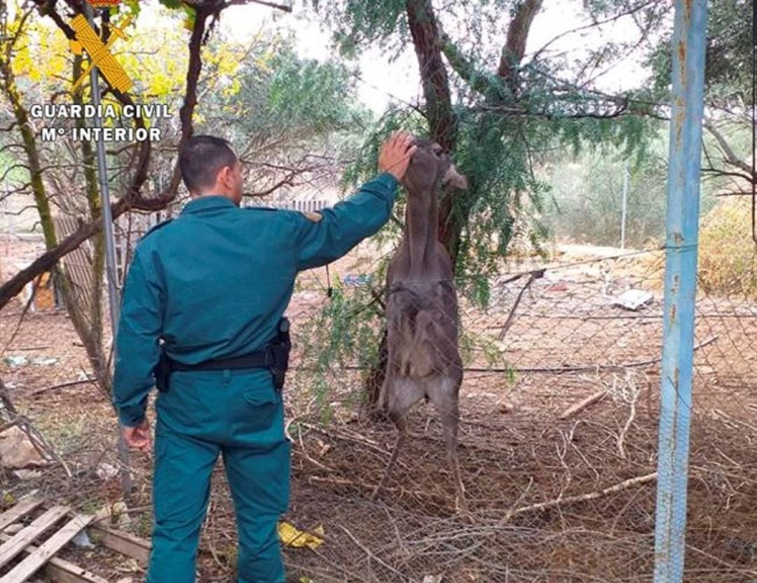 Uno de los agentes interactua con uno de los animales encontrados en las instalaciones