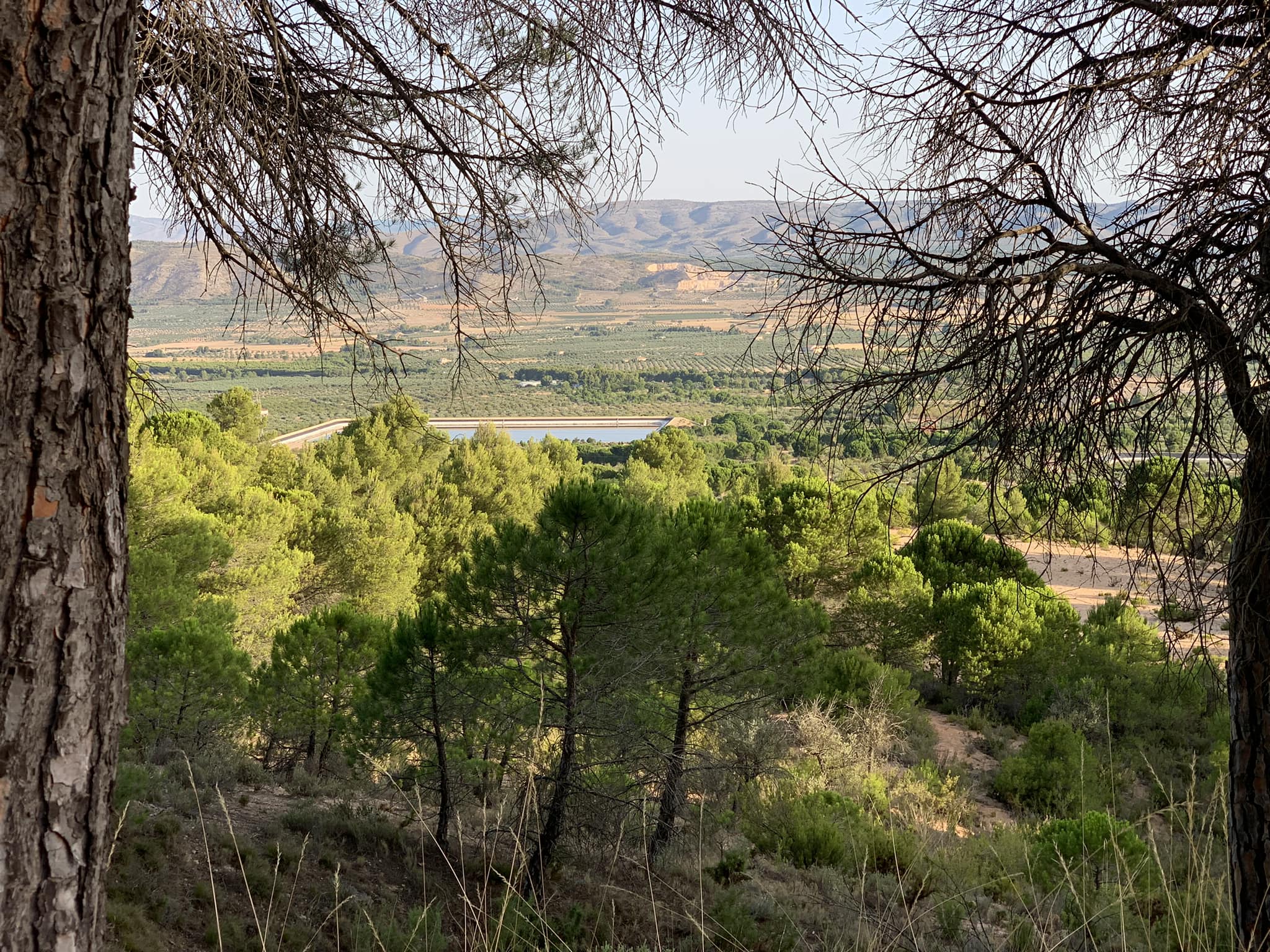 Panorámica de Biar