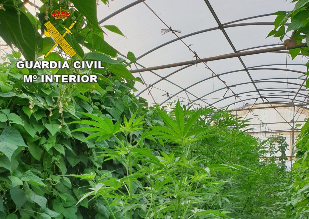 Operación antidroga en Torreblanca