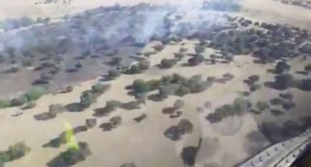 Incendio Virgen de Linares.