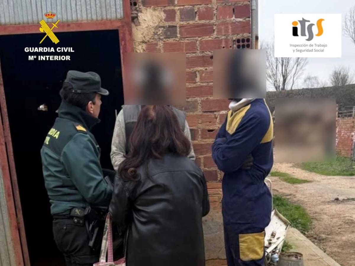 Detenido el titular de una explotación ganadera en Almanza por delitos contra los derechos de los trabajadores