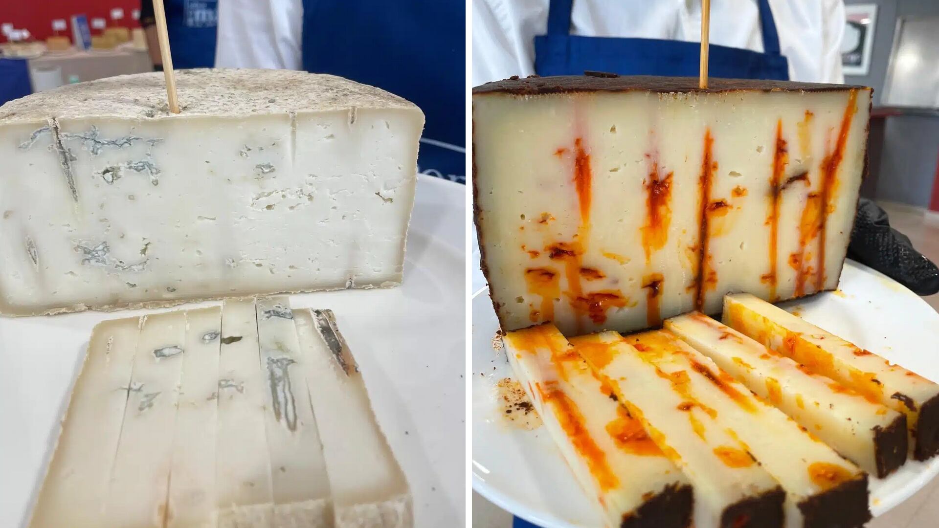 Premios a los Mejores Quesos de Cabra de la provincia de Málaga