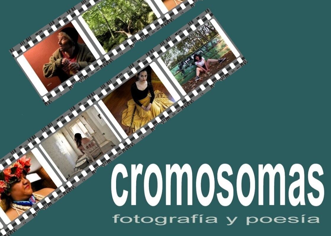 Fotografía y poesía se unen en &quot;Cromosomas&quot;, la última propuesta del Museo de Arte Contemporáneo de Carrión