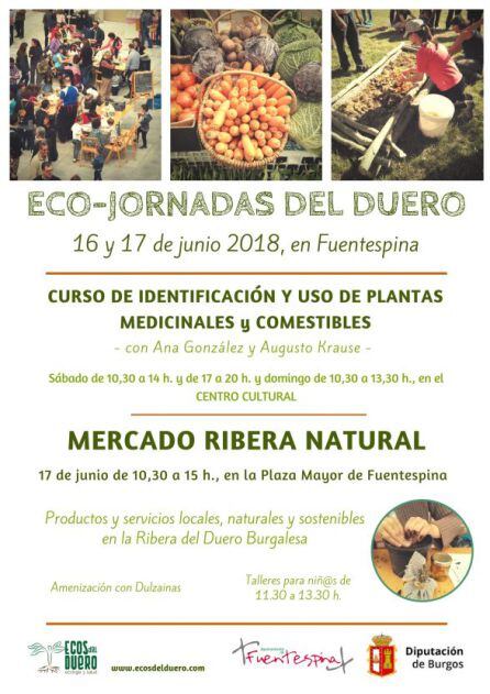 Cartel de las Eco-Jornadas