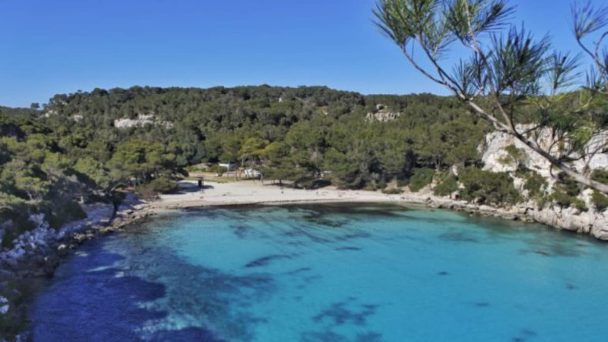Miquel Preto: "valoramos positivamente el uso del autobús a Macarella"
