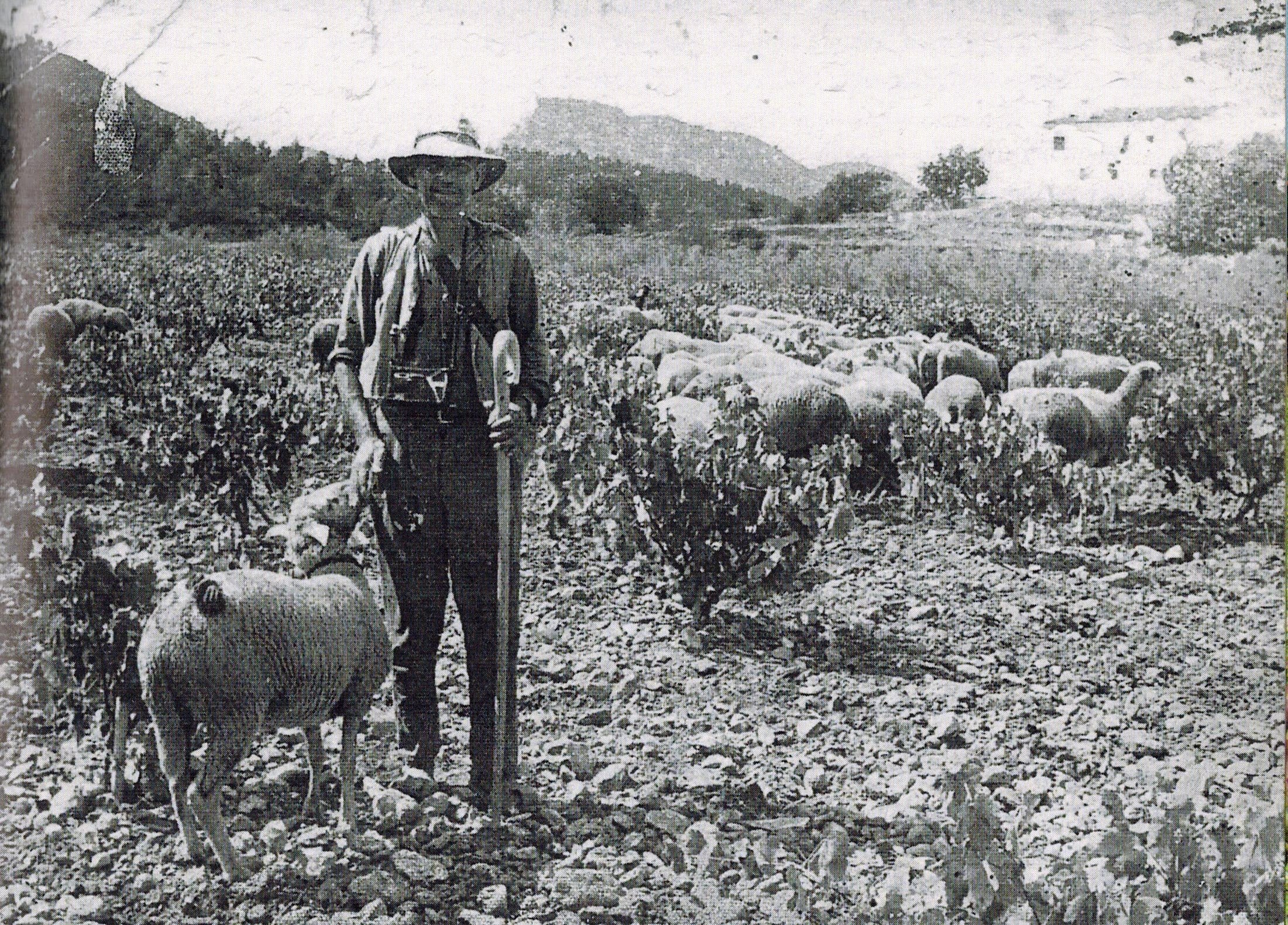 El &quot;tio Ricardo Calabuig&quot;. Fuente: Granja El Parral