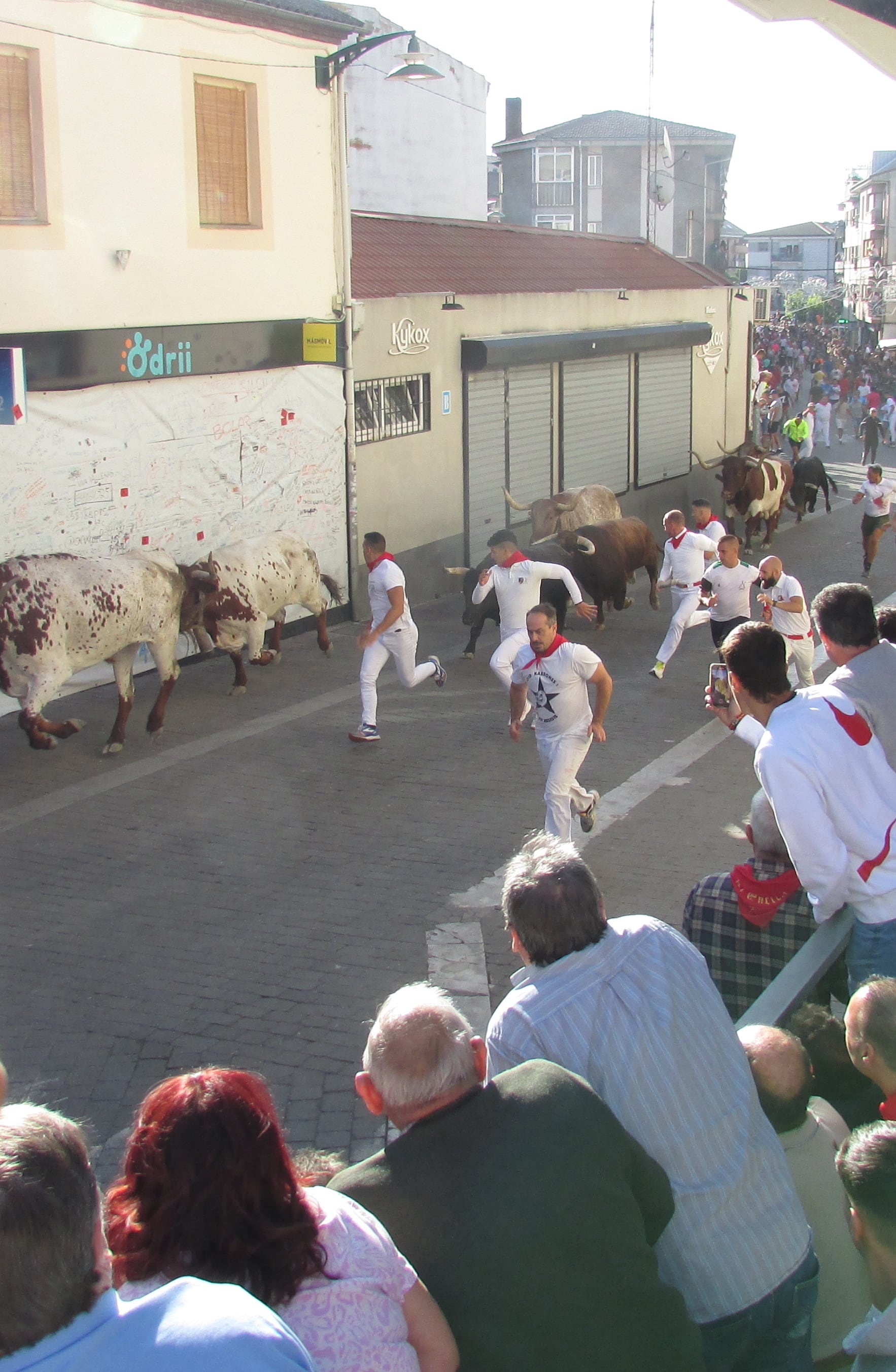 Corredores delante de los toros de Arauz de Robles en el primer encierro de Cuéllar en su tramo de la calle Resina