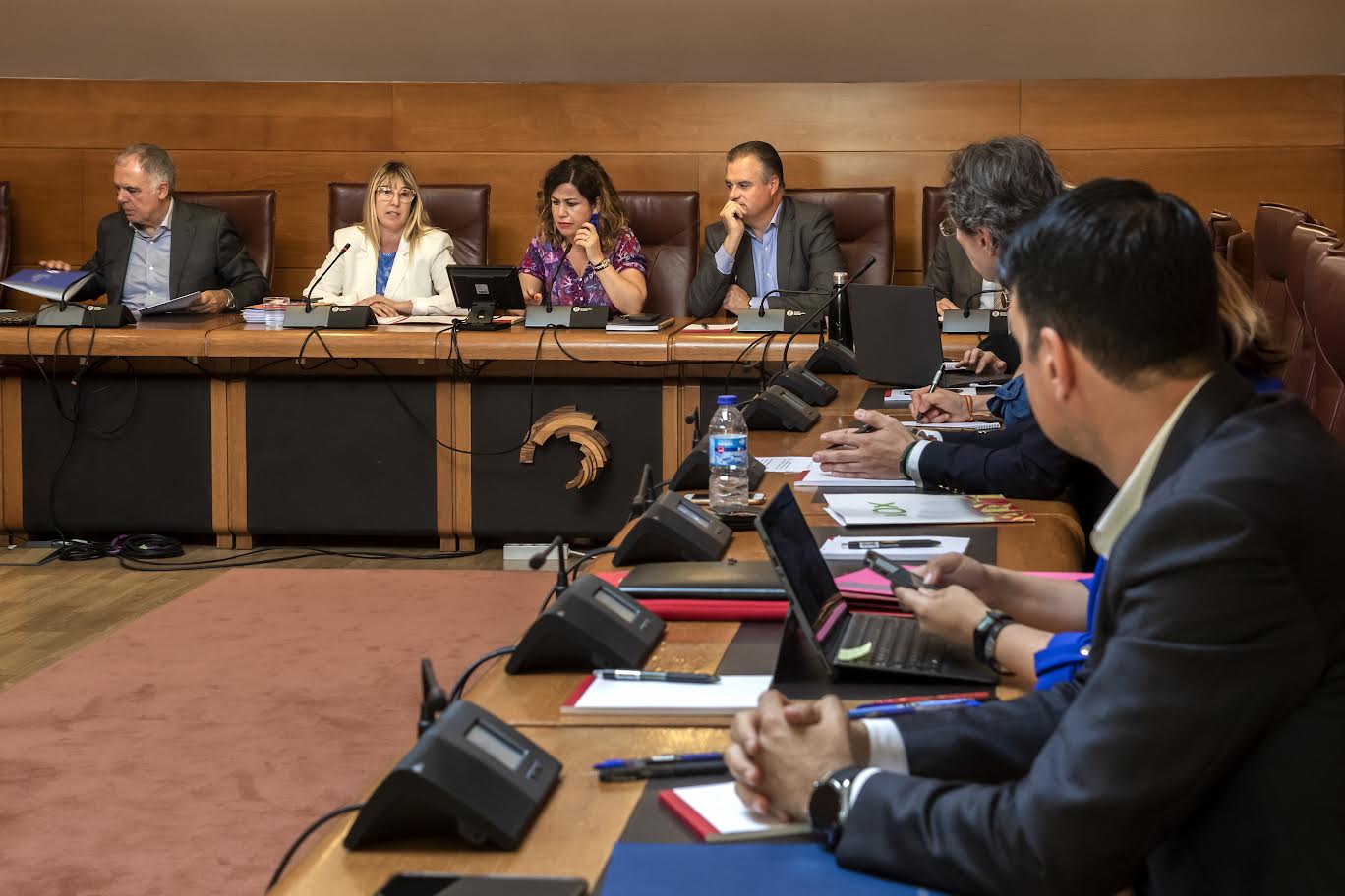 La consejera de Empleo y Políticas Sociales, Eugenia Gómez de Diego, comparece ante la Comisión de Empleo del Parlamento.