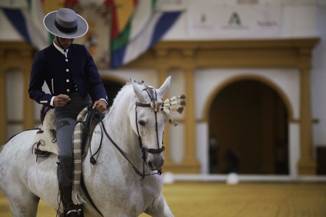 Un jinete de la Real Escuela Andaluza del Arte Ecuestre