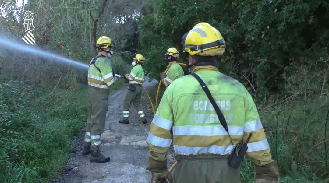 Bomberos participando en un simulacro de incendio forestal en Manises