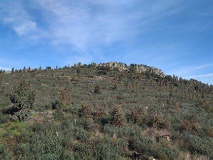 Cerro Arropé donde se proyecta la construcción del complejo budista