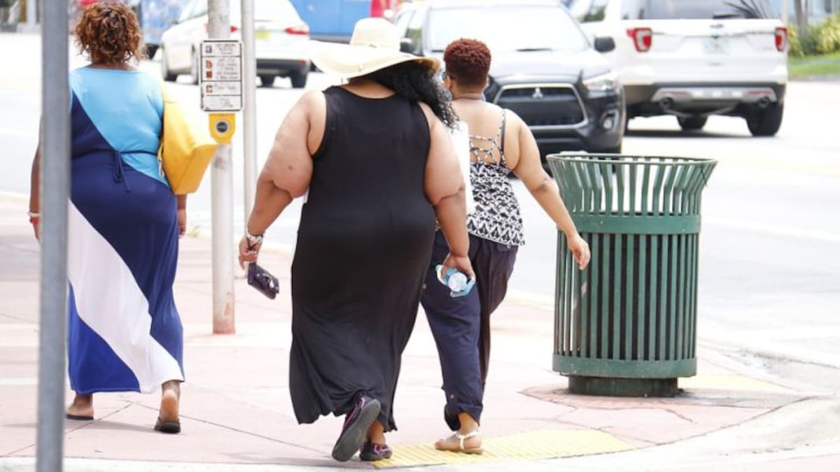 Estudian un posible origen bacteriano de la obesidad