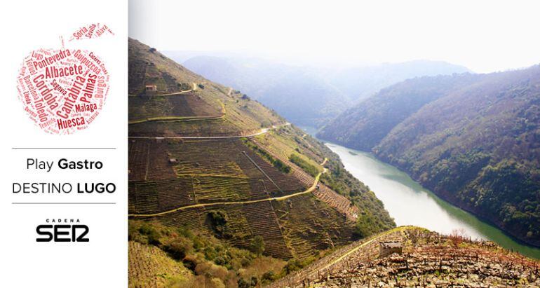 Viñedos de la Ribera Sacra, a orillas del río Sil.