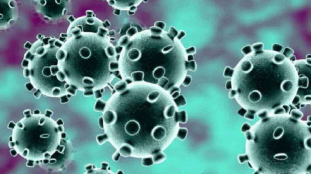 Datos sobre la evolución de la pandemia de COVID en Palencia