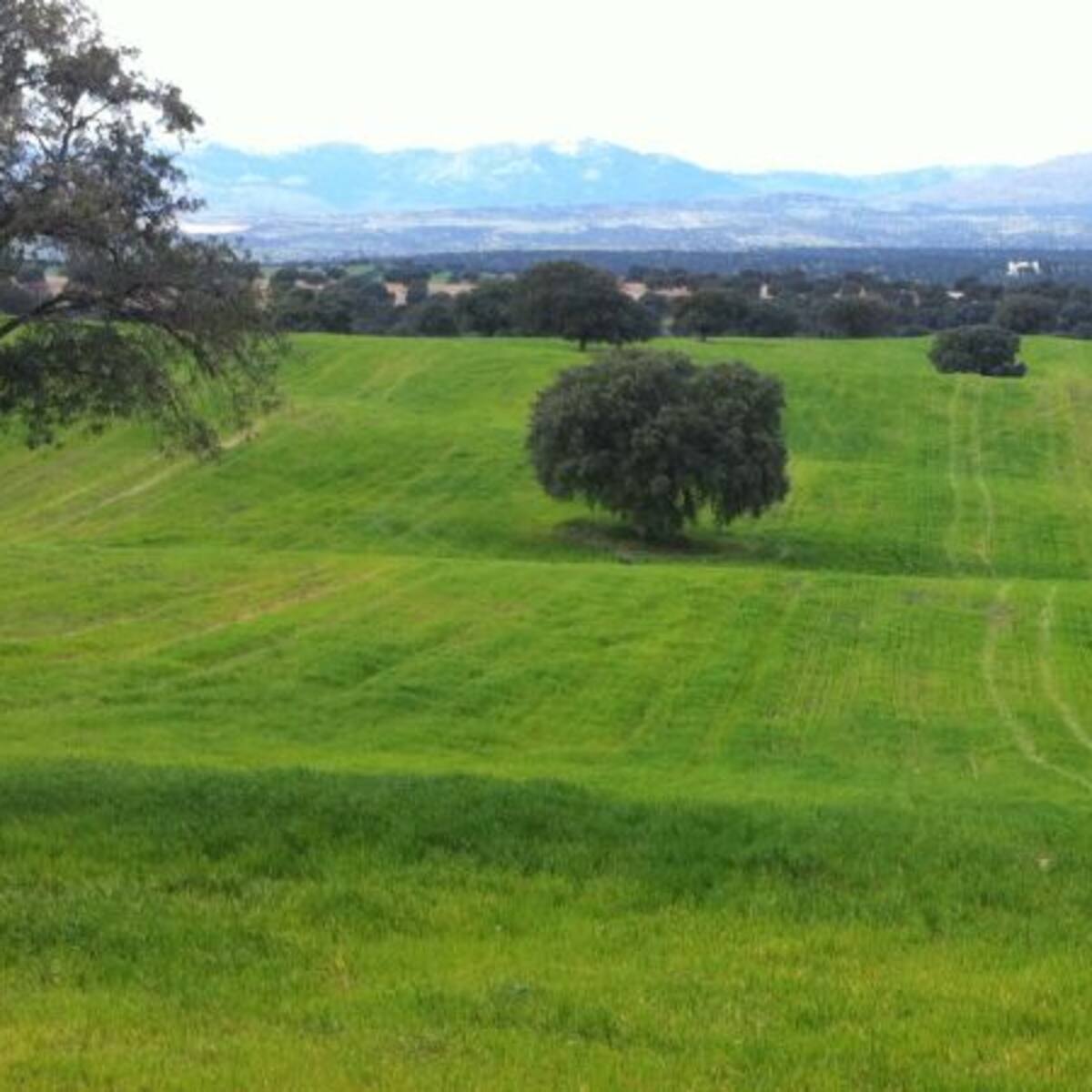La Plataforma Vecinal Dehesa Vieja se moviliza para defender el entorno natural de Cerro del Baile