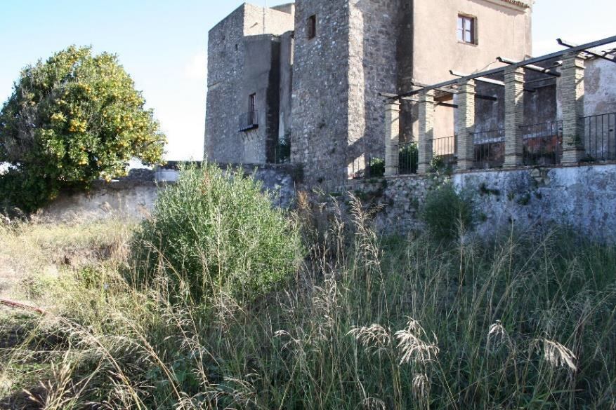 Castillo de Castellar de la Frontera