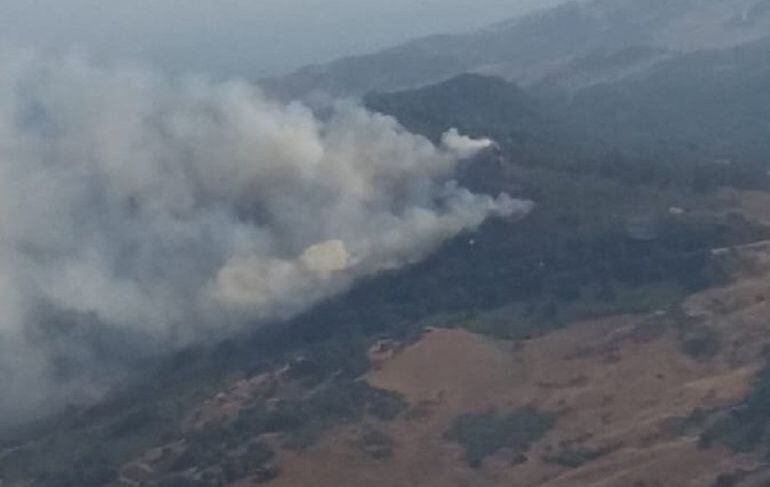 Incendio en El Bujeo (Algeciras)