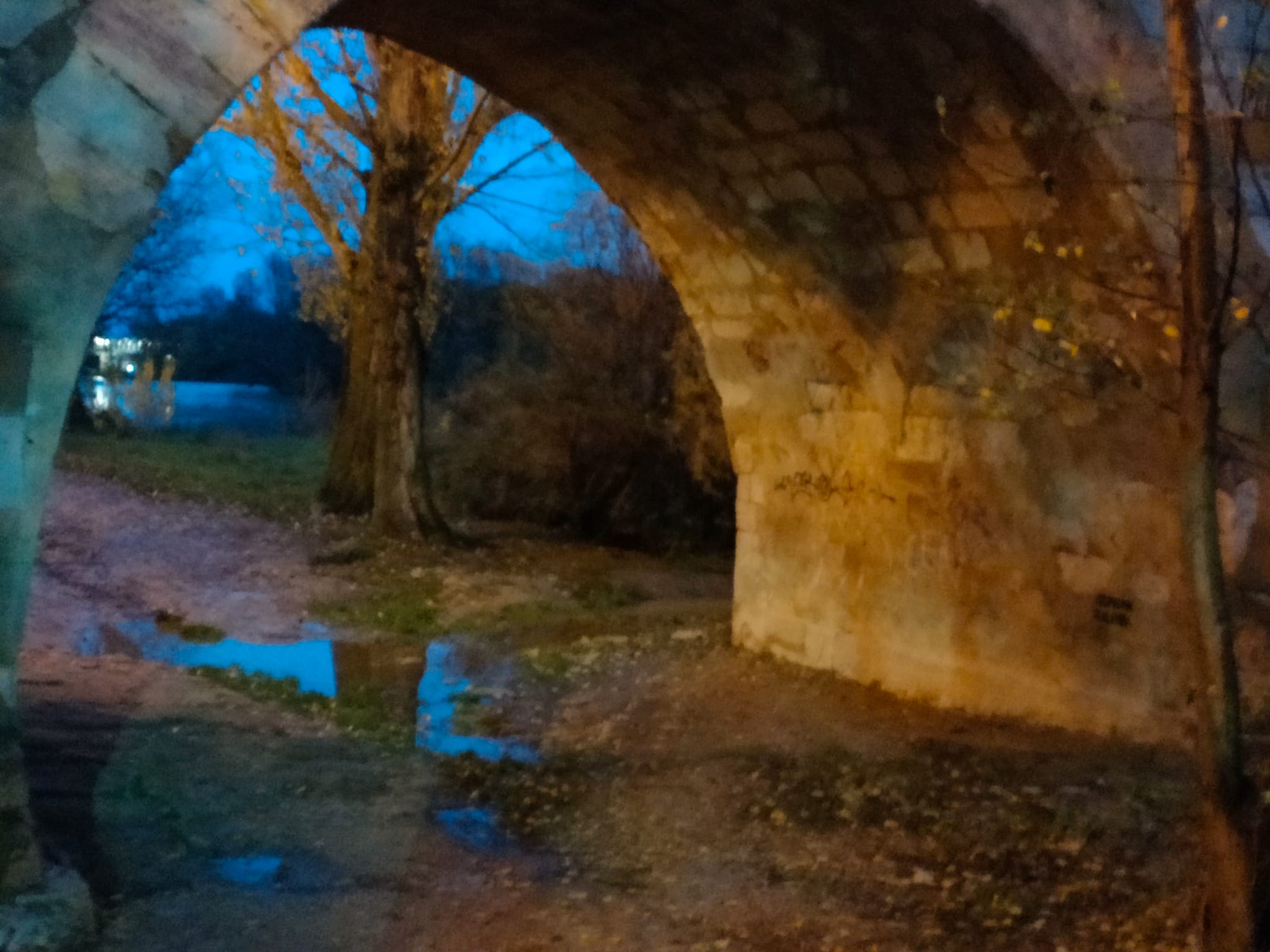 El Duero a su paso por Zamora en la tarde del miércoles. Foto Griosco