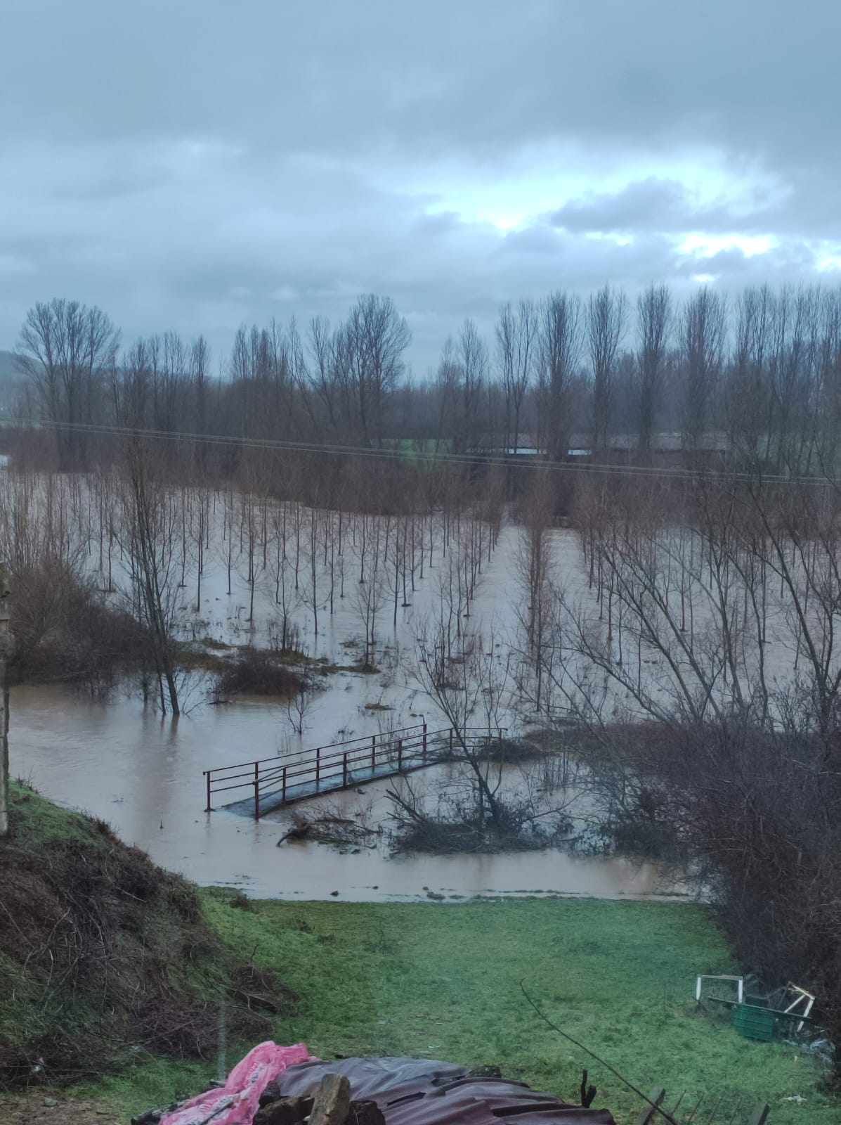 Estado del río Cea a su paso por el municipio de Almanza (León)