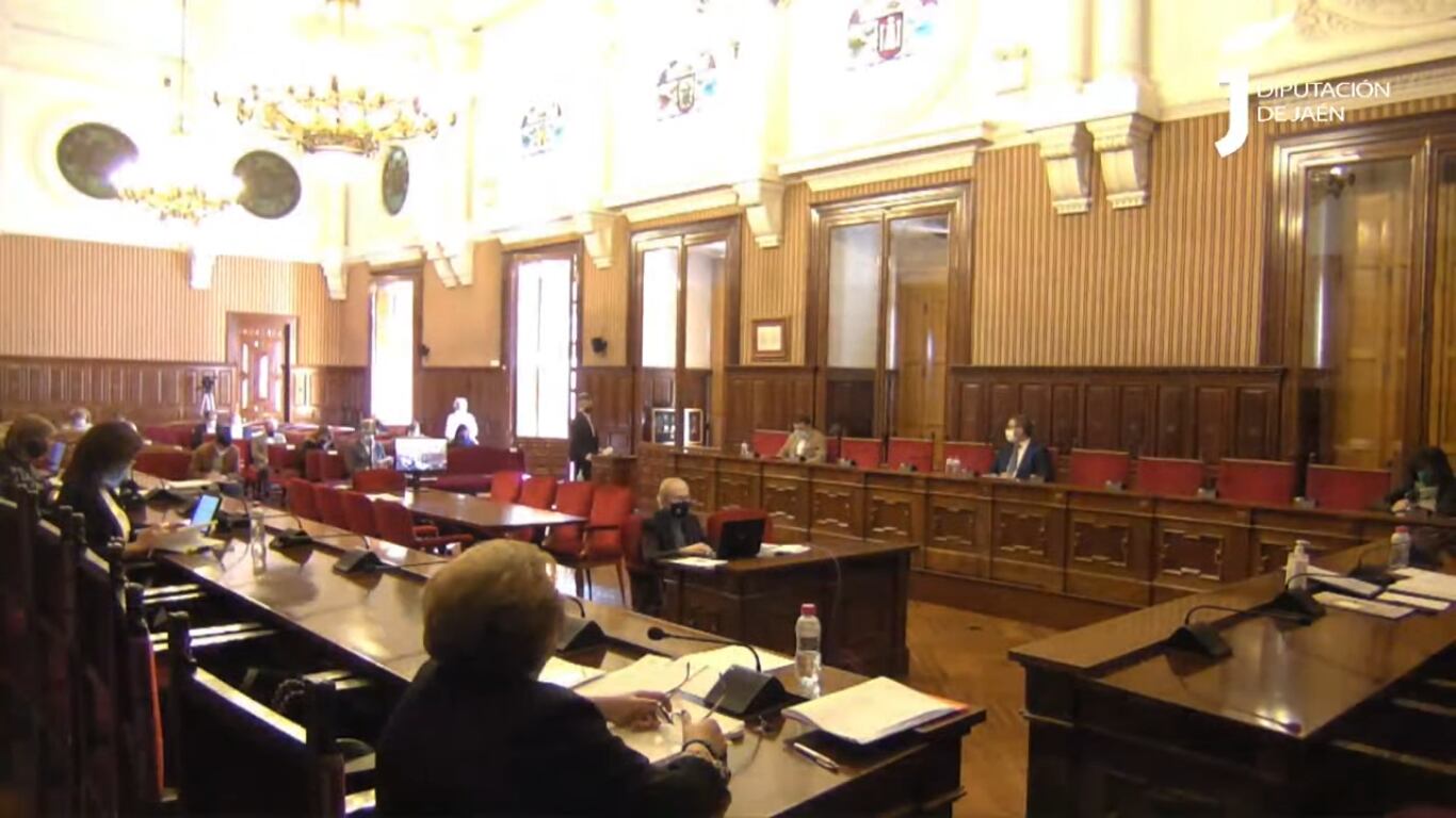 Instante del pleno ordinario celebrado este martes en el Palacio Provincial.