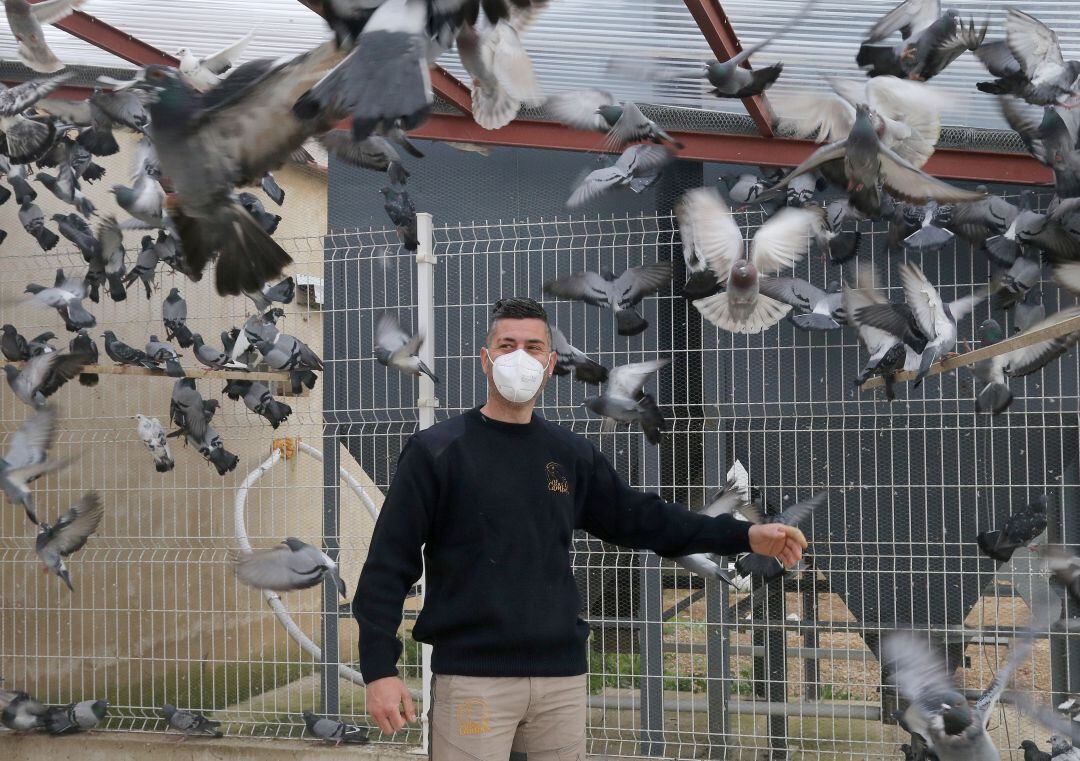 Palomar de palomas bravías del ganadero Marcos Pérez, en Fuentes de Nava (Palencia)