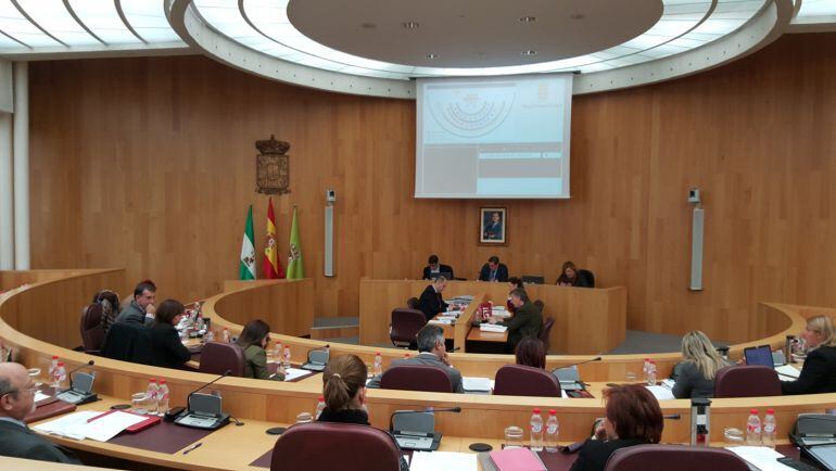 Pleno de la Diputación de Granada.