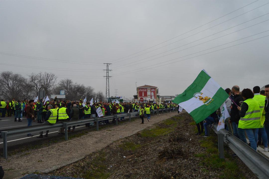 Protesta de losolivareros en la A-4 , a su paso por Andújar 