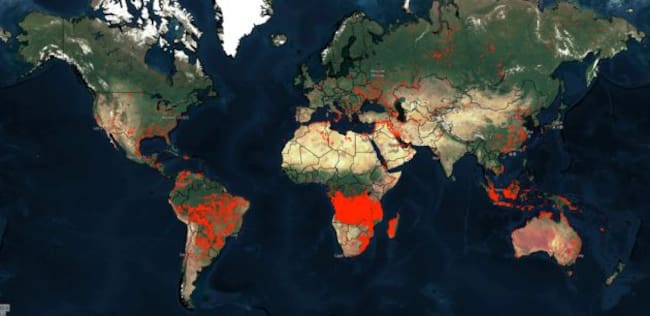 Figura 1. Incendios activos en el mundo en la última semana.