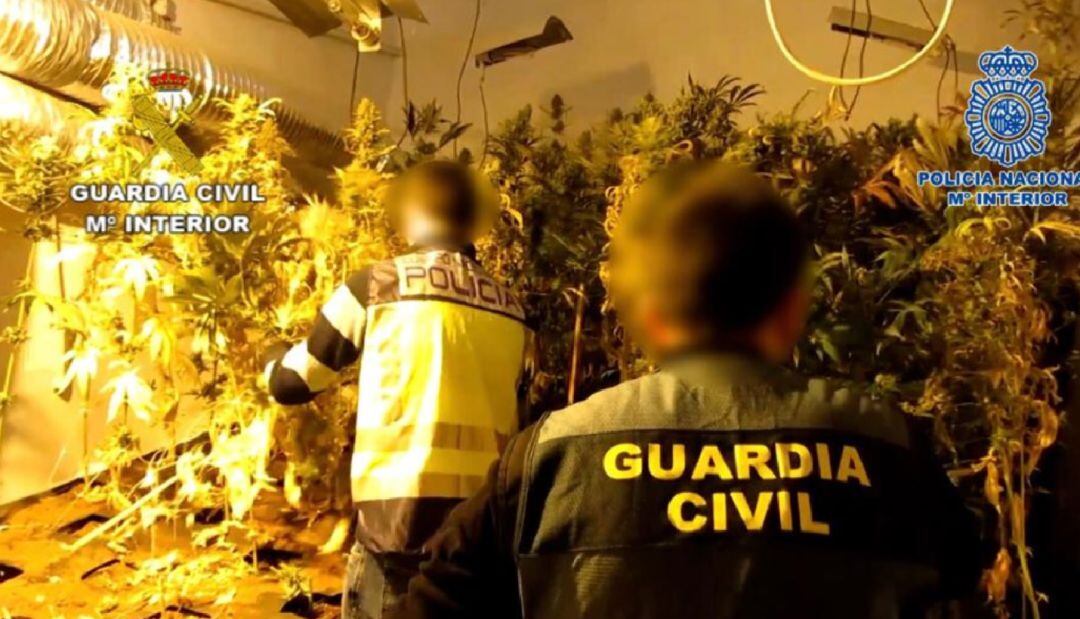 Imagen de la Operación desarrollada por la Guardia Civil y la Policía Nacional