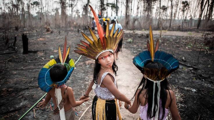Punto de Fuga: '¿Quién está detrás del asesinato de activistas en Brasil?' (22/11/2019)