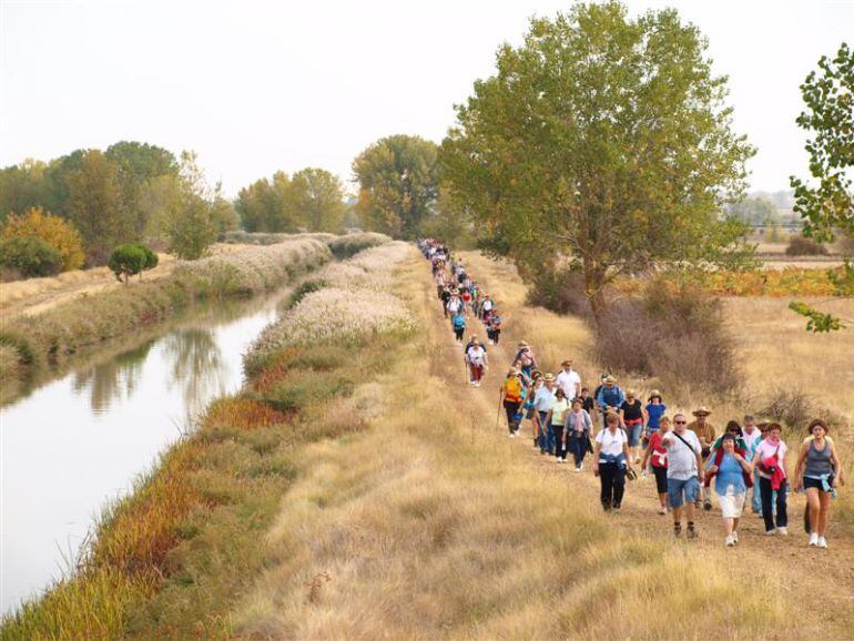 Marcha Jacobea