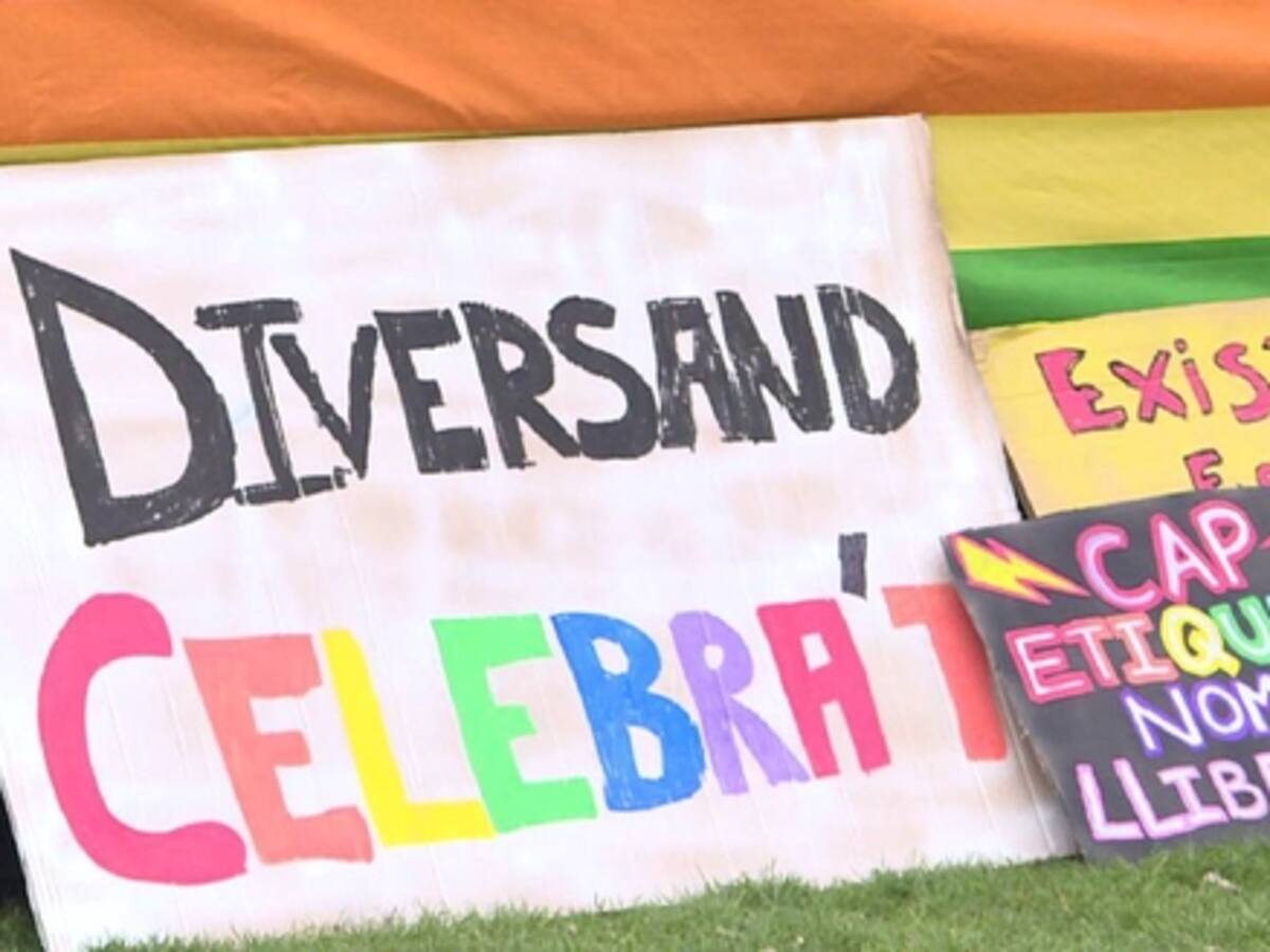 El col·lectiu LGTBIQ+ demana una llei contra els delictes d'odi