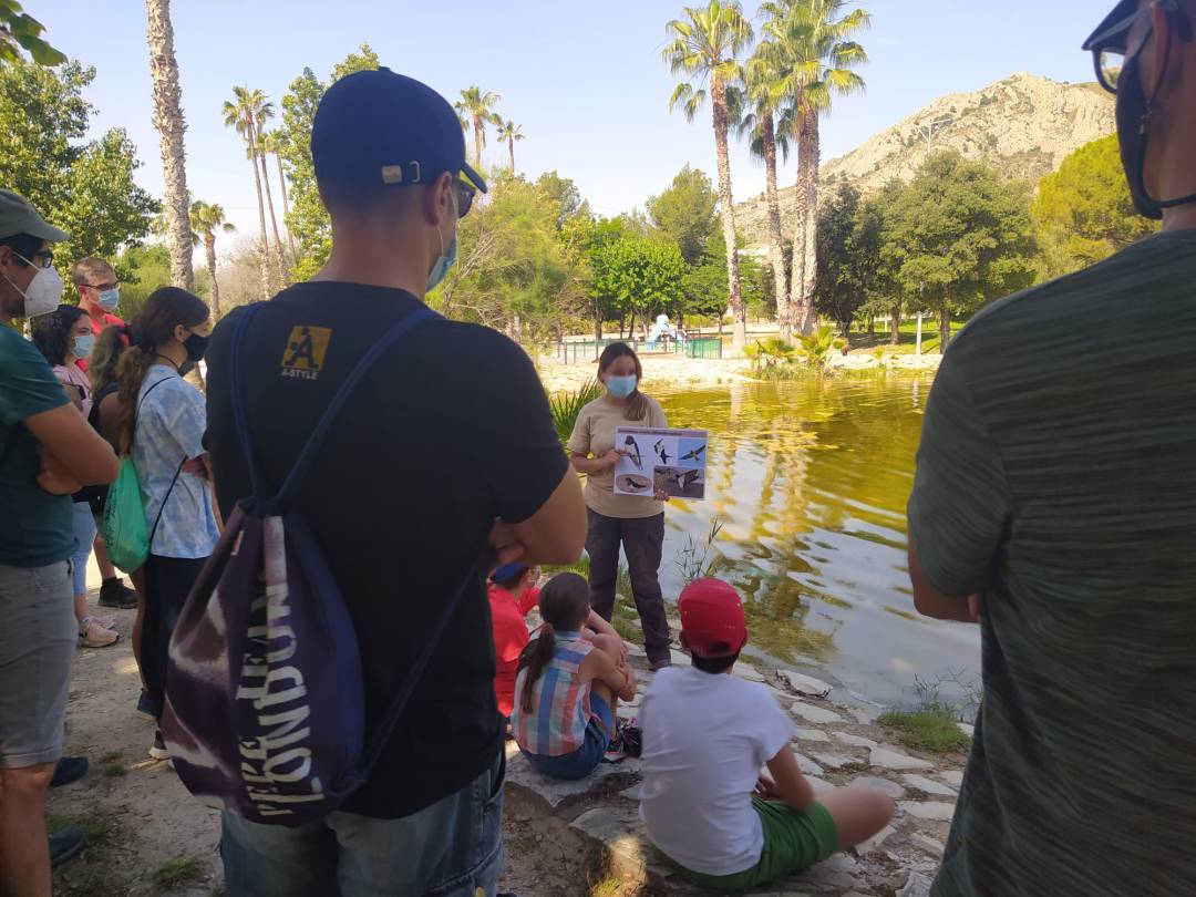 Actividad &quot;Ciudades Vivas&quot; de Elda, sobre la diversidad de aves que habitan el área urbana