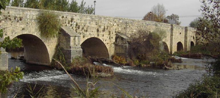 Puente de Villamuriel de Cerrato (Palencia)