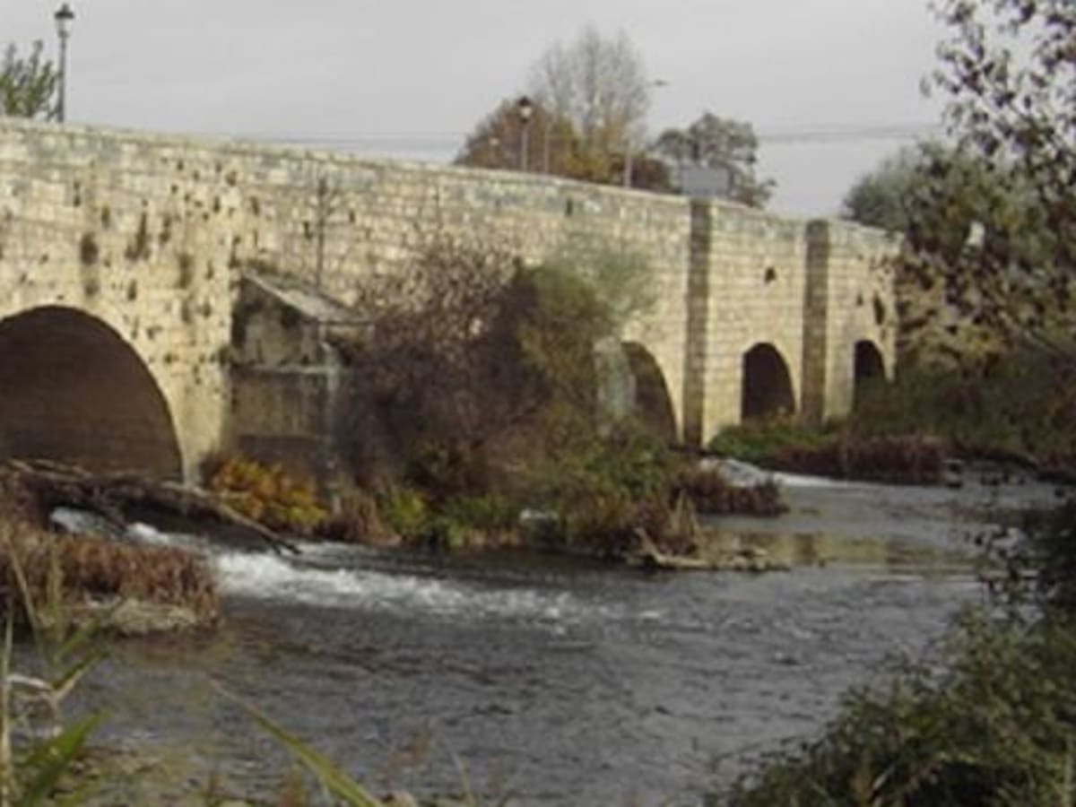 La Junta interviene en el puente de Villamuriel de Cerrato