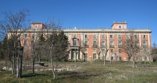 El Infante don Luis Antonio de Borbón compra el Señorío de Boadilla en 1761 y dos años después, convertido en el XIII Conde de Chinchón, encarga al arquitecto Ventura Rodríguez la construcción de un palacio para independizarse de la corte, ya que siete años antes había renunciado a sus cargos eclesiásticos.
