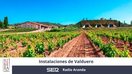 Instalaciones de la bodega