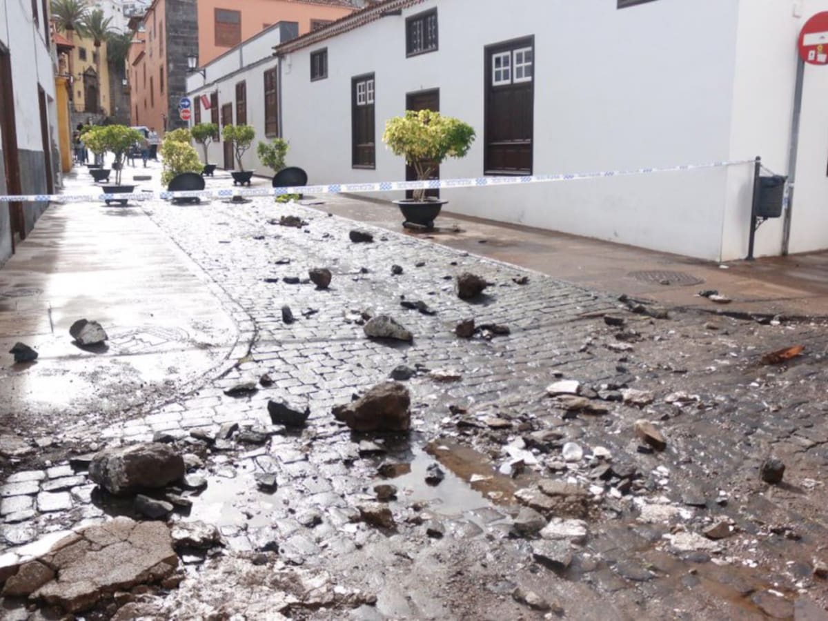 La mirada de Marta Cantero: alertas tempranas