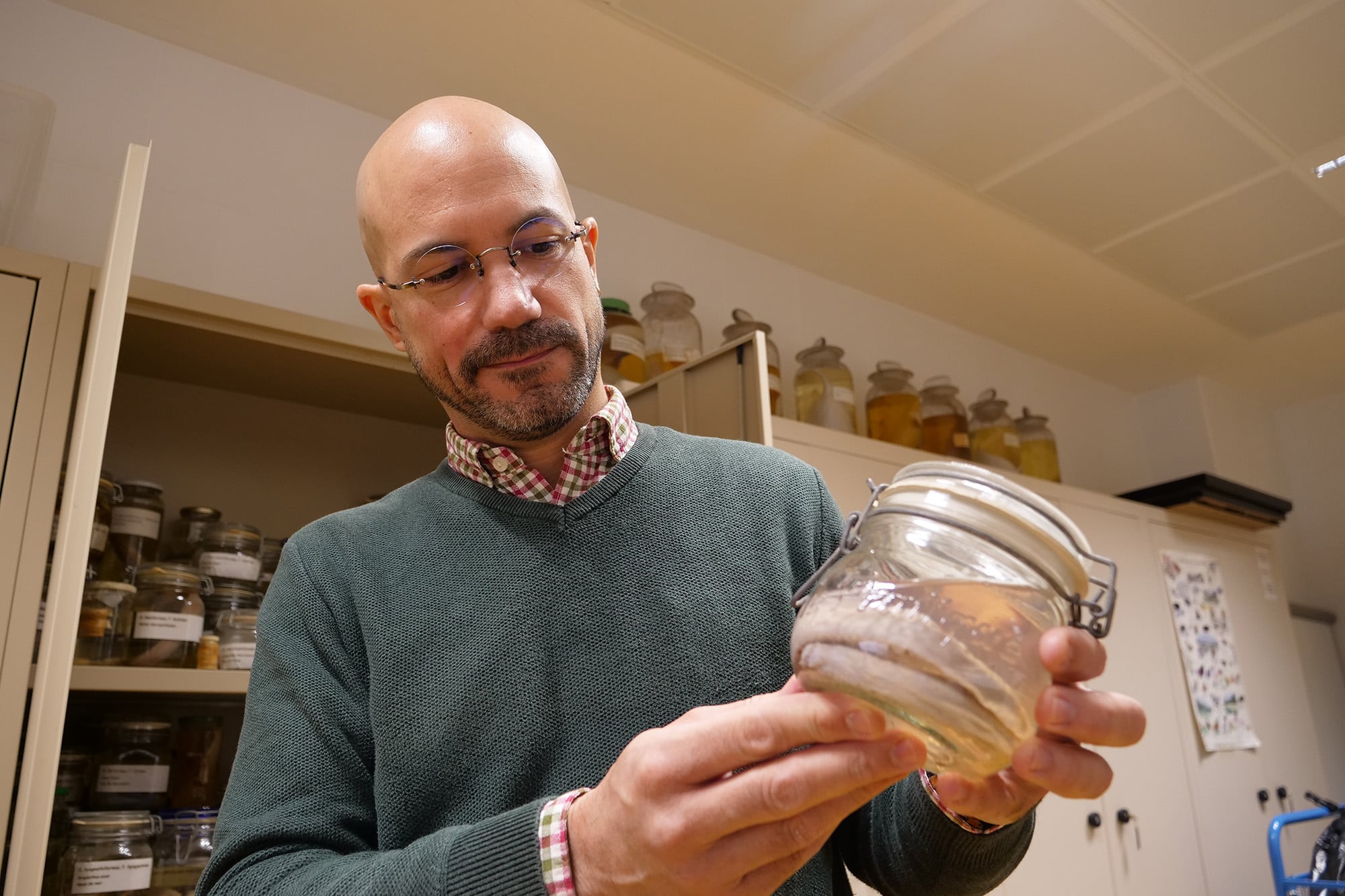 Juan Pascual Anaya es científico del Departamento de Biología Animal de la Universidad de Málaga. Estudia la evolución de estructuras innovadoras que aparecen en varios linajes de animales, principalmente vertebrados, por ejemplo, las células sanguíneas y el proceso por el que se producen, así como otras estructuras como el origen de las patas, las manos o las mandíbulas